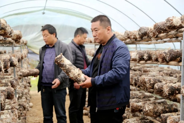 1667200111499376.jpg 4.jpg