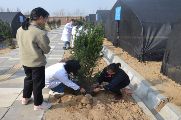 1680486879109335.png 圖3.png